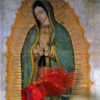 miregarcia0010
